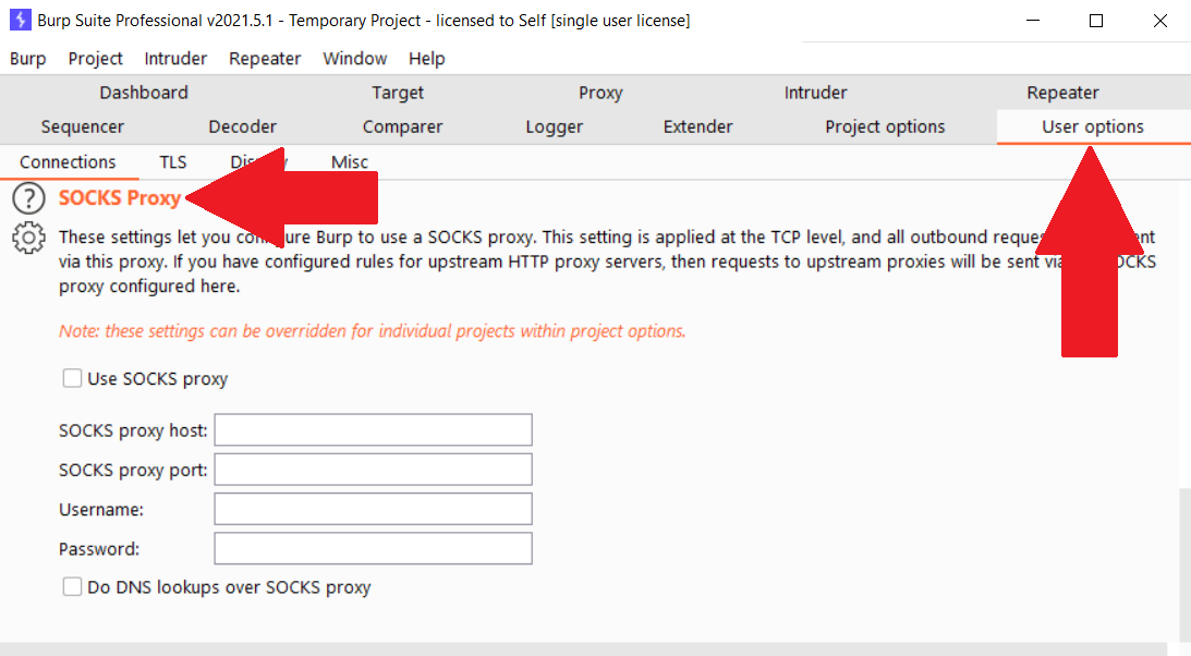 Proxying Burp Traffic through VPS using SOCKS Proxy, by Nishith K